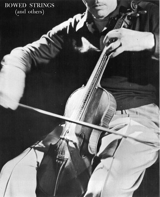 photo of Adapted Viola